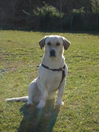 image003.jpg